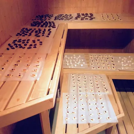 Casa Anita 莱克斯